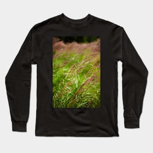 Closeup of grass Long Sleeve T-Shirt